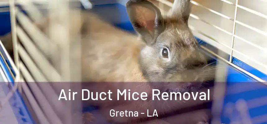 Air Duct Mice Removal Gretna - LA