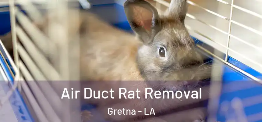  Air Duct Rat Removal Gretna - LA