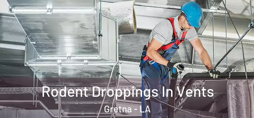  Rodent Droppings In Vents Gretna - LA