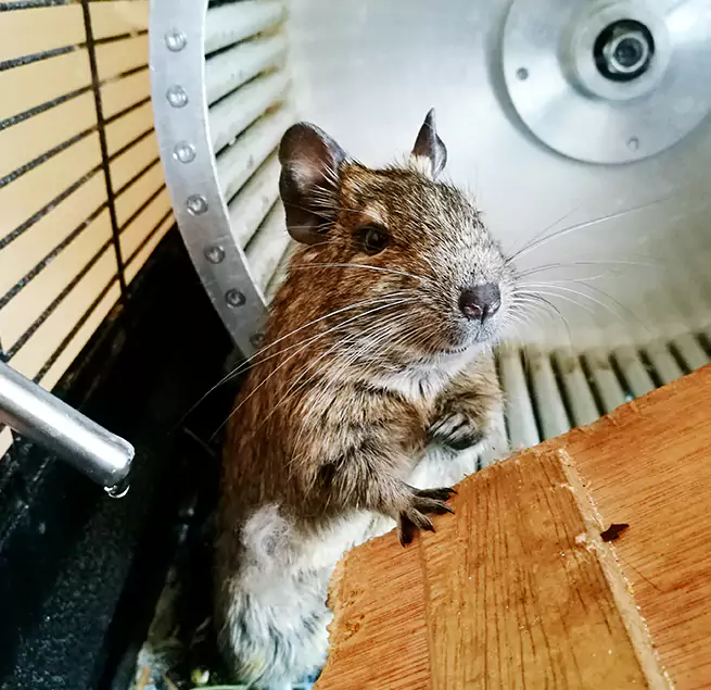 Why Homeowners & Businesses Trust Us Gretna, LA